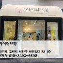 아이러브 애견 이미지