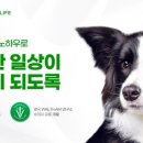 한국마즈(유) 이미지