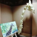 키즈 플라워와 방학생활 | 겨울방학 갈만한곳, 에버랜드 이큐브스쿨 키즈 프로그램 후기