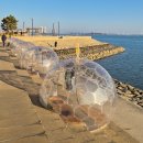 어린왕자와 사막여우 | "노을 보러 갔다가 야경에 취함" 거북섬에 온 어린왕자 &amp; 투명 이글루 인생샷 정복기