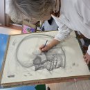 수채화(기초) 이미지