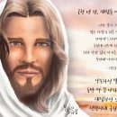깔끔맨 이미지