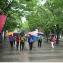 즐거운 소풍 이미지