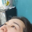 빌라드바비 | 빌라드바비 북서울꿈의 숲 돌곶이역 속눈썹펌 후기