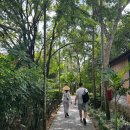 안락고려약국 | 베트남 후에(Hue)여행, 필그리마지 빌리지 리조트(Pilgrimage Village Resort &amp; Spa)