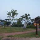 예향천리마실길 10코스 가시연꽃길 이미지