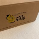 그림책퐁당 6-7세 | 그레이트북스 신간 내 친구 역사공룡 / 아이 첫 역사 그림책 6,7세 유아 도서