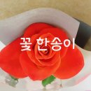 다인플라워 이미지