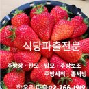 행복파출 이미지
