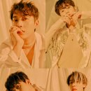 하이라이트