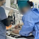 베를린 동물치과센터 이미지