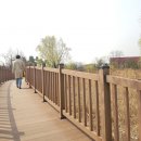 장다리천 이미지