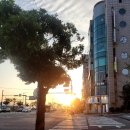 버무리 떡볶이 (다대점) | [부산] 별바다 부산 - 나이트 뮤직 캠크닉/ 부산 다대포, 분위기 좋은 피크닉 콘서트