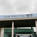국민체육센터 앞 횡단보도 | 제주 실내 수영장 투어 애월 국민체육센터 : 자유수영 2천원 / 25m 레인