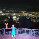 안민고개 정상 | 창원 진해 안민고개 야경 완벽 가이드: 창원 시내를 한눈에 담은 숨은 야경 명소