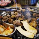 고고돼지 이미지