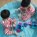 펫살롱 댕댕 이미지