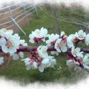 나비랑 한옥 이미지