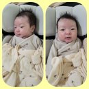 마미산후조리 네이버블로그