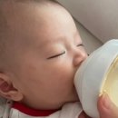 꿀꺽소리 이미지