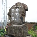 미로항공여행사 이미지