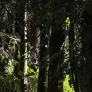 금복식당 이미지