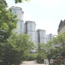 잠원로(남측) 이미지