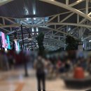 꼼지의 작은세상 | [2025서일페] 2일차 나들이