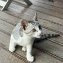 럭셔리 안성(M) 글램핑장 | 몸만 떠나면 되는 서울 근교 글램핑 – 럭셔리안성M글램핑