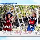 광호 농장 이미지