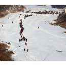 동지섣달 꽃본듯이 이미지