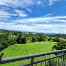 다움공인중개사사무소 이미지