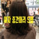 이영헤어변신미용실 네이버블로그