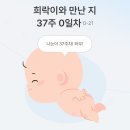 희락갈비 | 임신 막달 37주 만삭 임산부 일상 분당제일여성병원 내진 후기