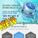블루썬 이미지