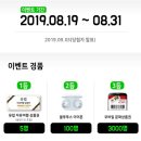 섬드림