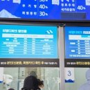 소노벨비발디파크 이미지