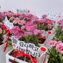 리민플라워원주꽃집꽃다발근조화환화분 이미지