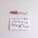은평자연약국 | [임신] 4-5주차: 얼리임테기 두줄, 남편 임밍아웃, 아기집확인, 보건소 임산부 뱃지