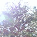 함평자연생태공원 이미지