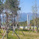 함양산삼골휴게소(대구방향) 이미지