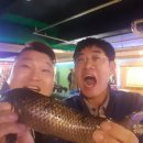 꾼낚시카페 이미지