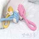 엠에스덴탈 이미지