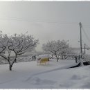 해를여는펜션 이미지