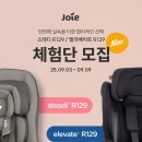 중앙카시트 이미지