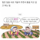 4월 8일(토) 품앗이와 부조 및 부주 이야기 이미지