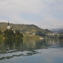 로젠하임 이미지