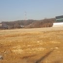 독정리 이미지