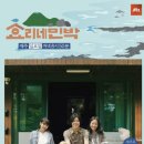 효리네 민박 | [효리네 민박 &#39;소길별하&#39; 후기] 제주도 애월 소품샵 꼭 사야 할 아이템 / 가는 길 / 입장권 예매 꿀팁
