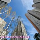 여주-0180 네이버블로그